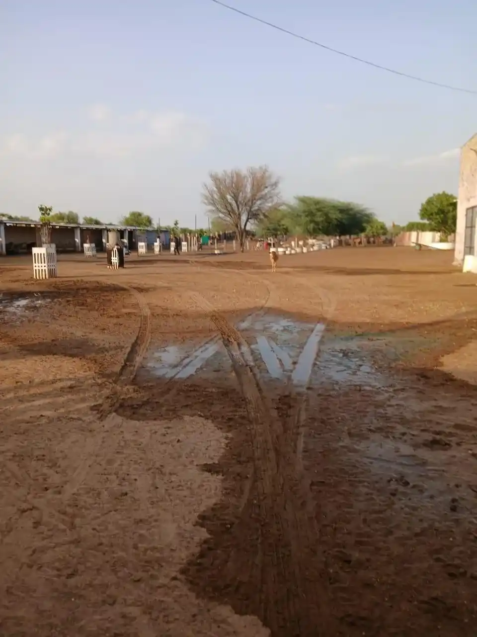 JM Sethia Charitable Trust in Bidasar